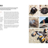 Book page with text and images of pine-needle mussels