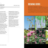 Page from a book or magazine about brewing herbs with text and images of herbs.