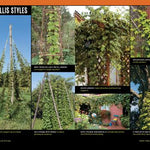 Collage of hops trellis styles with text labels on a green background.