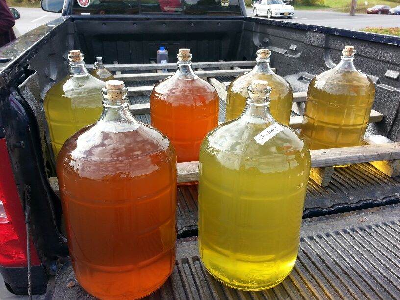 Multiple glass carboys filled with different colored liquids in a truck bed.