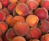 Close-up of a pile of peaches with a soft focus