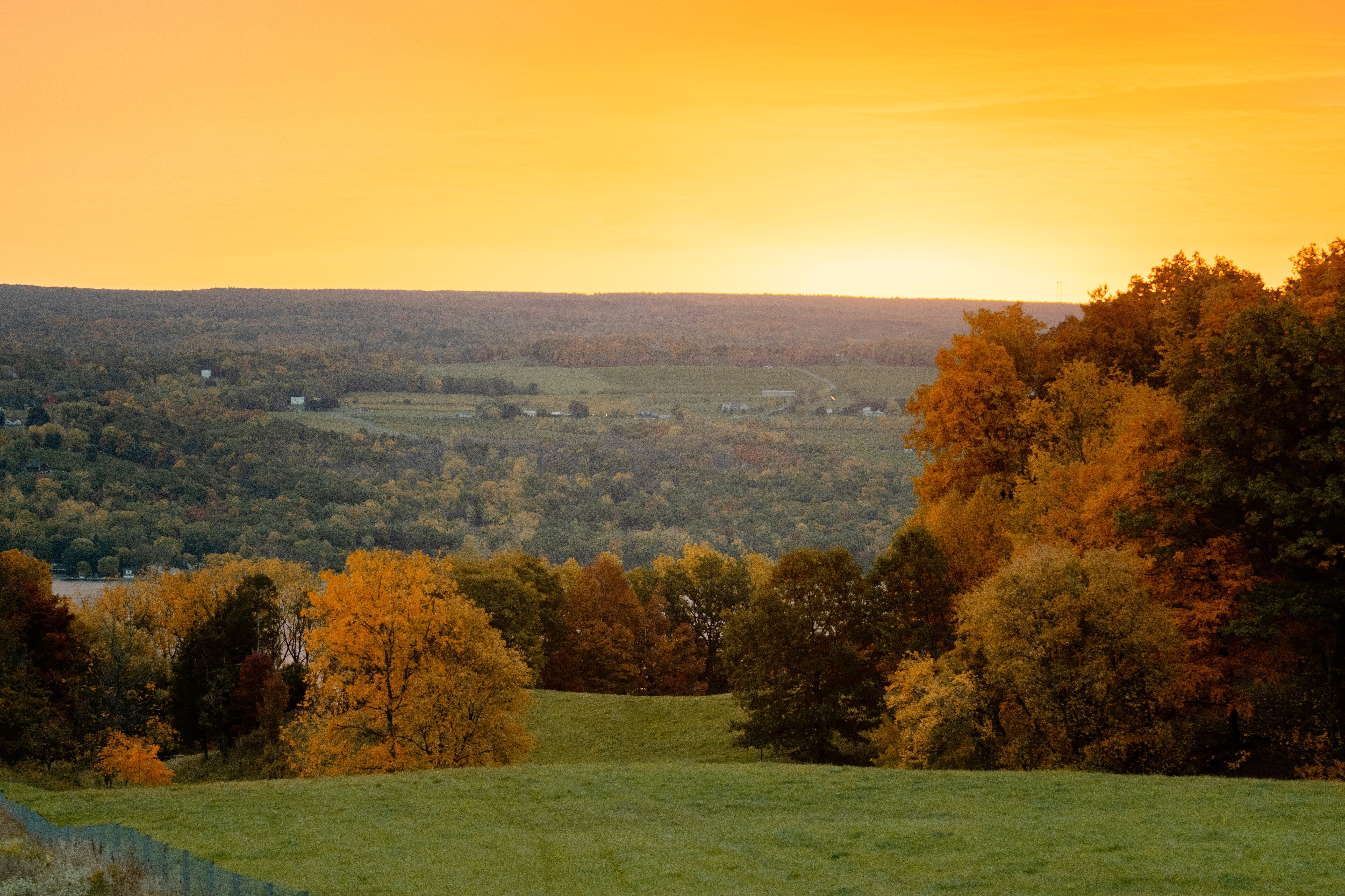 Scenic view of a pasture with trees and a sunrise.