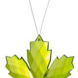 Green leaf-shaped ornament with a string on a white background