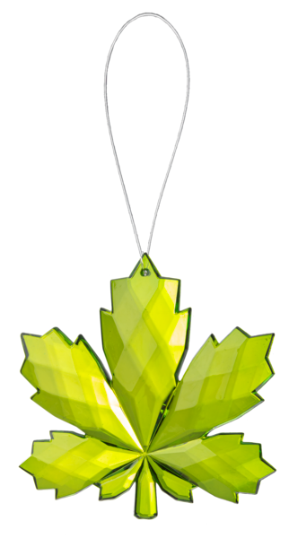 Green leaf-shaped ornament with a string on a white background