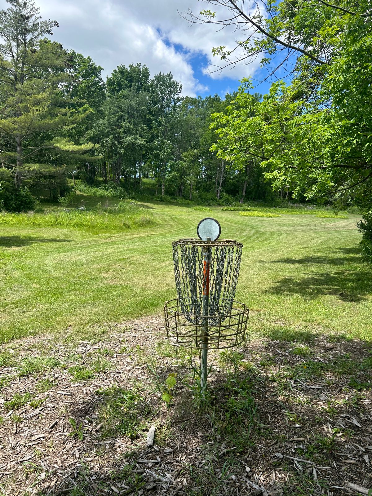 Disc golf basket on a grassy area with trees in the background