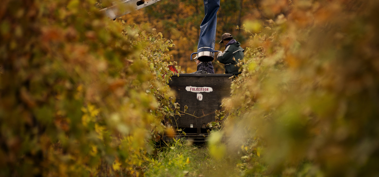 Person using a tractor in a field with blurred background