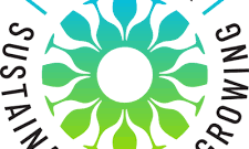 Logo for New York Sustainable Winegrowing with a green and blue design.