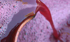 Close-up of red liquid being pressed onto a container